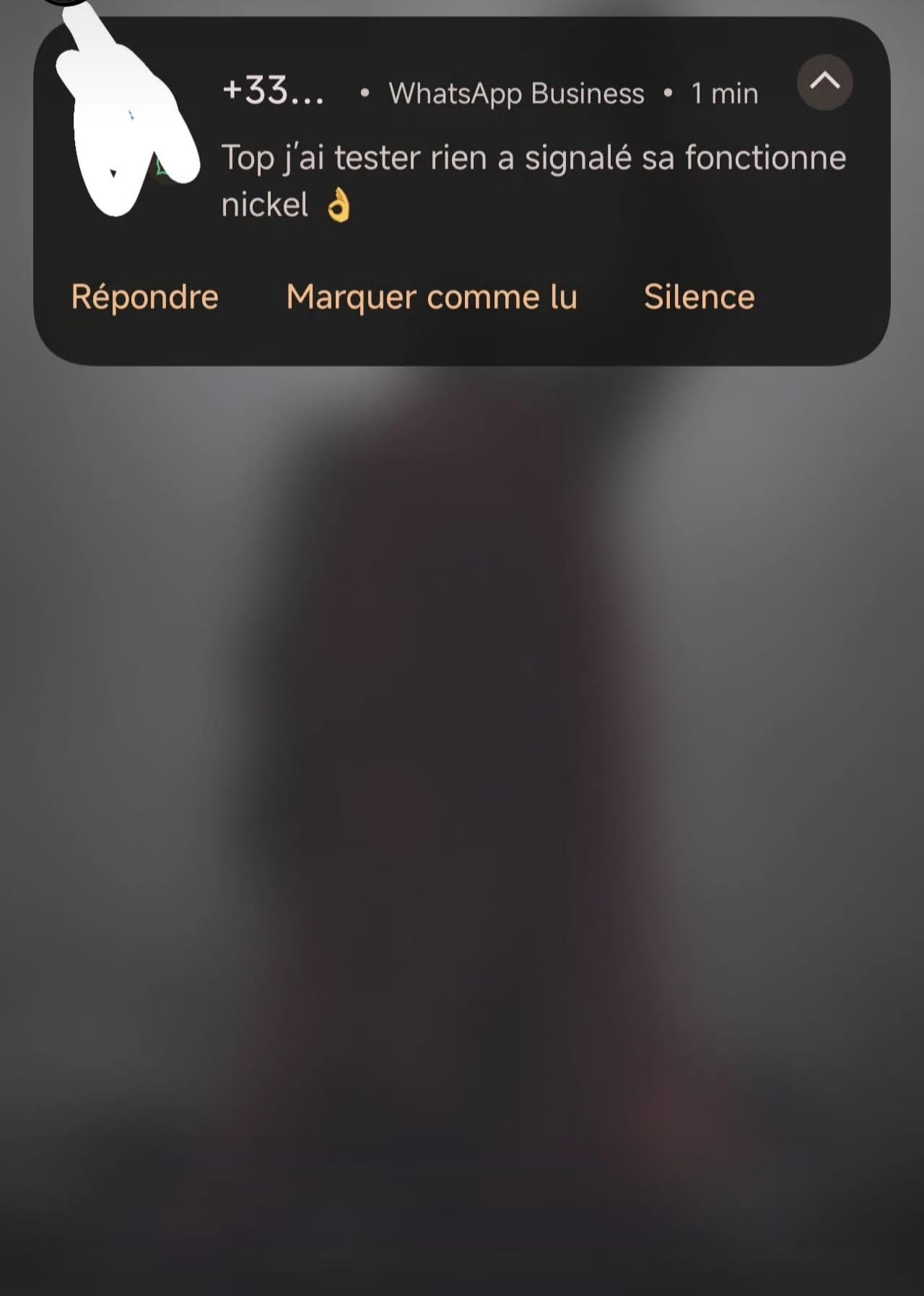 Capture avis client WhatsApp