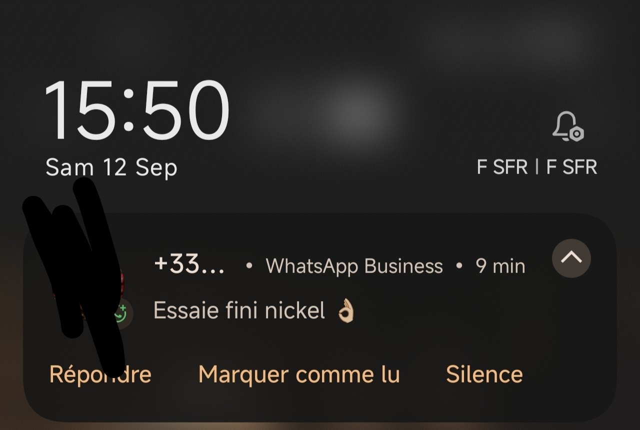Captura de opinión de cliente en WhatsApp