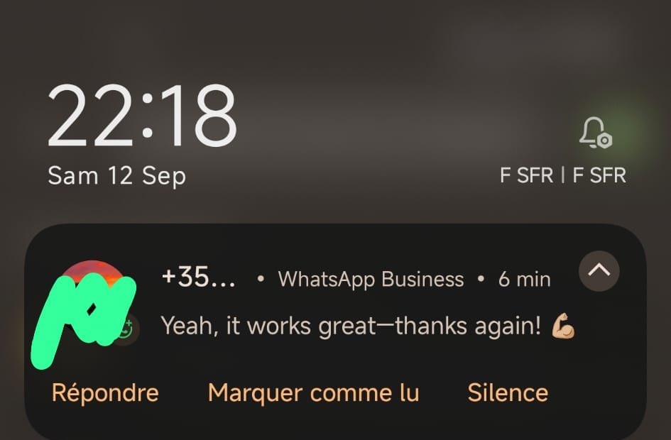 Captura de opinión de cliente en WhatsApp