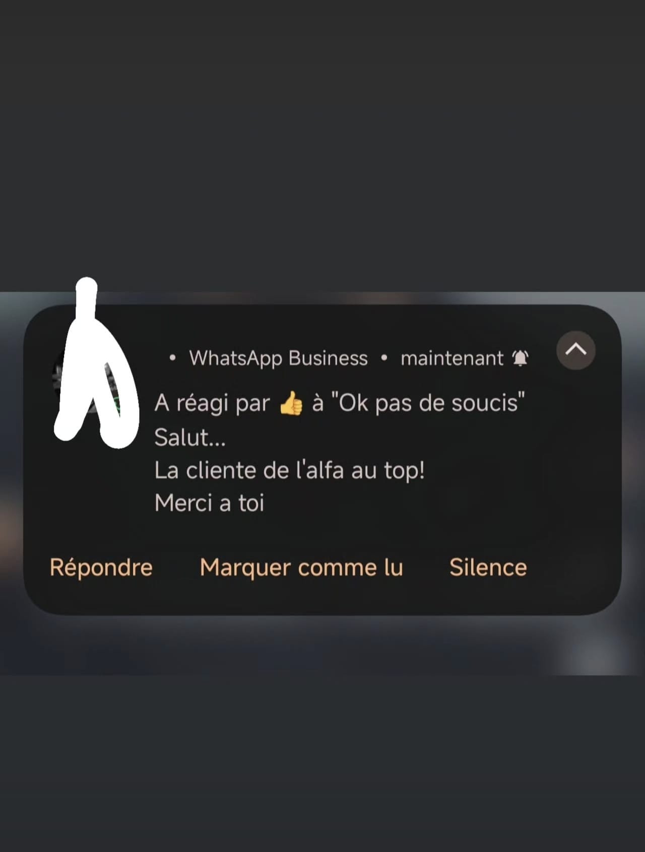 Capture avis client WhatsApp